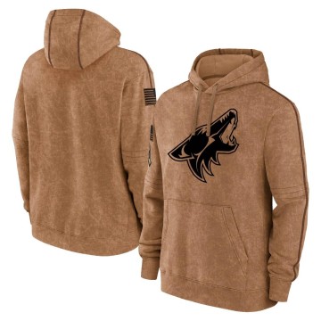 Men's Arizona Coyotes 2023 Salute to Service Club Pullover Hoodie - Brown